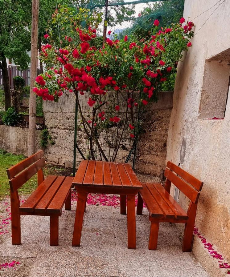 Apartma Metka בובק מראה חיצוני תמונה