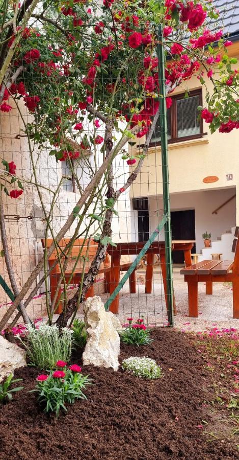 Apartma Metka בובק מראה חיצוני תמונה
